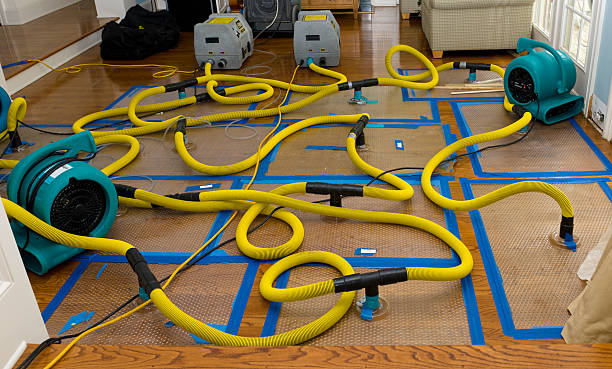 Professional Basement Flood Cleanup technician working in Odessa, TX